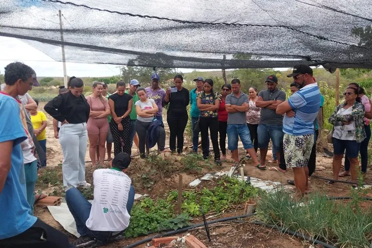 Famílias do sudoeste baiano beneficiadas tecnologia de captação de água