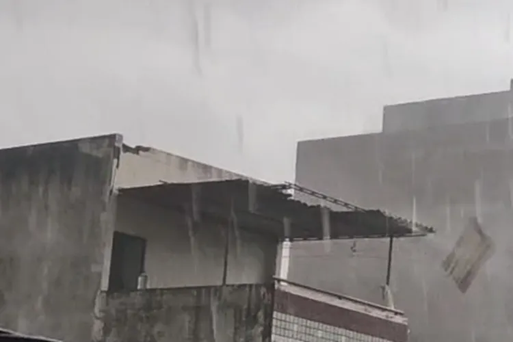 Vídeo: Forte chuva derruba árvores, interdita BR-030 e causa estragos em Guanambi