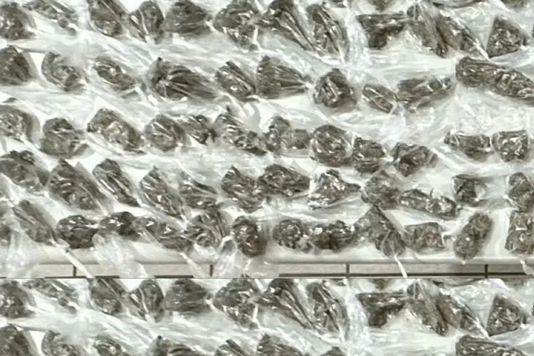 Jovem detida com 2 kg de maconha para comercialização em Vitória da Conquista