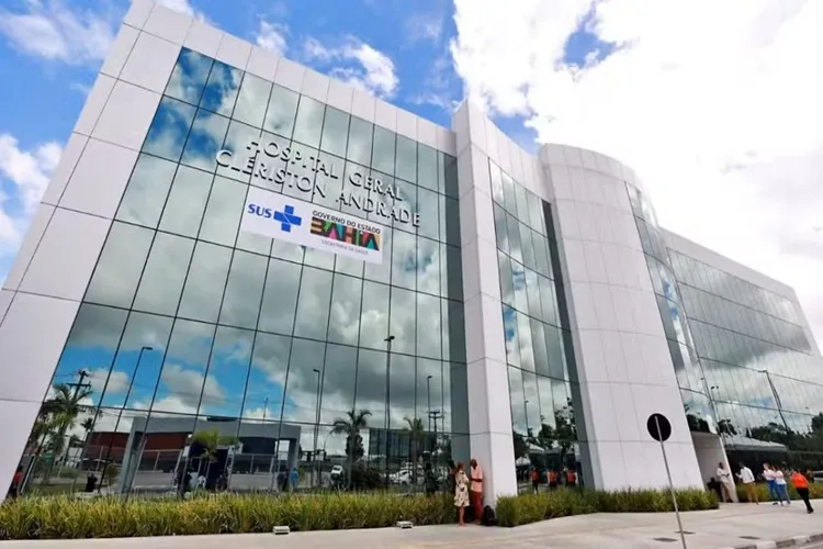 Idosa de 70 anos morre após ser atacada por vaca em Ipirá