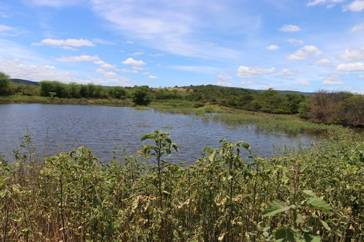 Chuvas de verão começam a recuperar aguadas na zona rural de Brumado