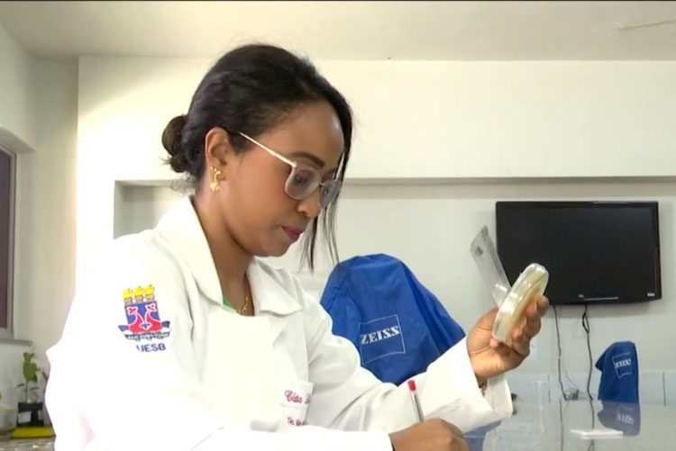 Sudoeste da Bahia: Estudante baiana produz óleo com folhas de eucalipto para substituir agrotóxico