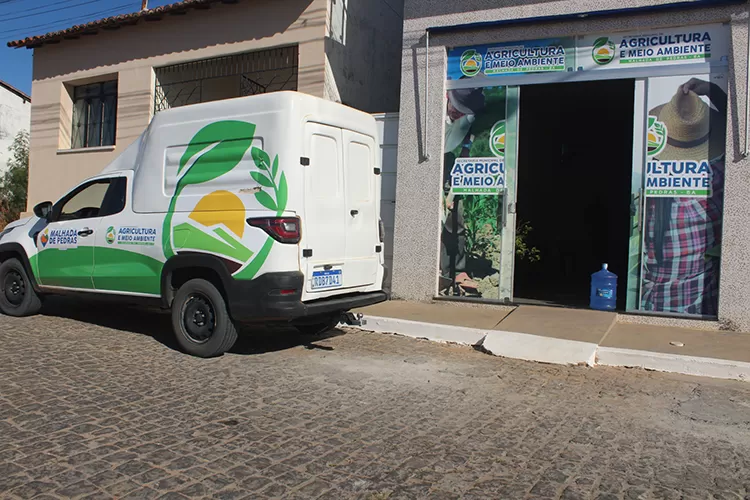 Secretaria garante produção leiteira com a reserva de ração natural em Malhada de Pedras