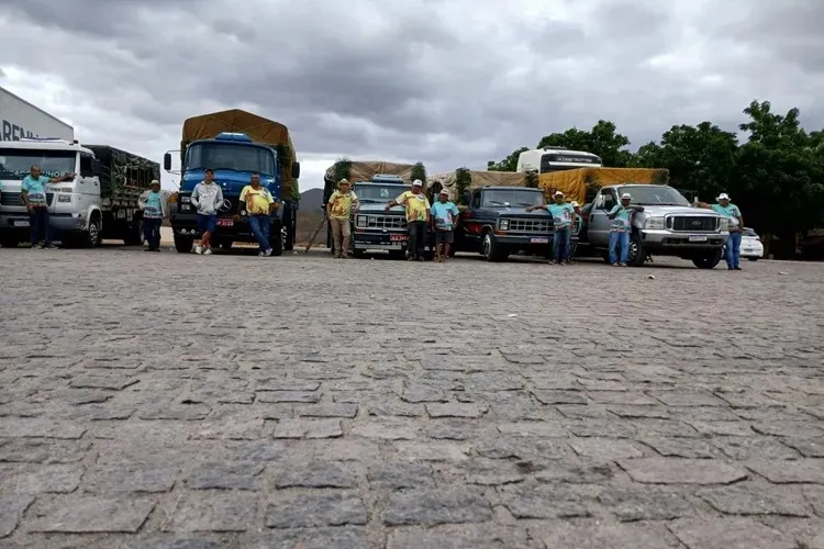 Romeiros de Ipiaú percorrem 600 km em pau de arara rumo a Bom Jesus da Lapa