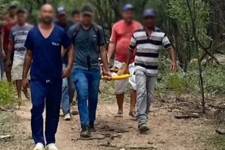 Idosa desaparece e é encontrada em área de mata em Contendas do Sincorá