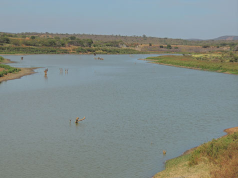 Brumado: Barragem do Rio do Antônio está secando