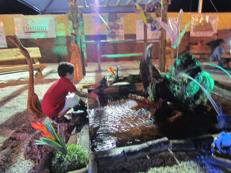 Brumado: Kezinha apresenta projeto de paisagismo durante Feira de Negócios