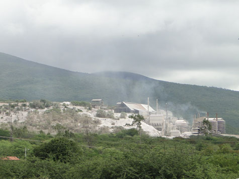 Roubo de árvores na Magnesita em Brumado