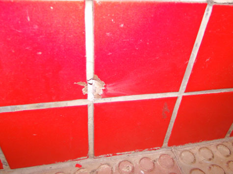 Brumado: Bandidos roubam padaria e disparam contra proprietária