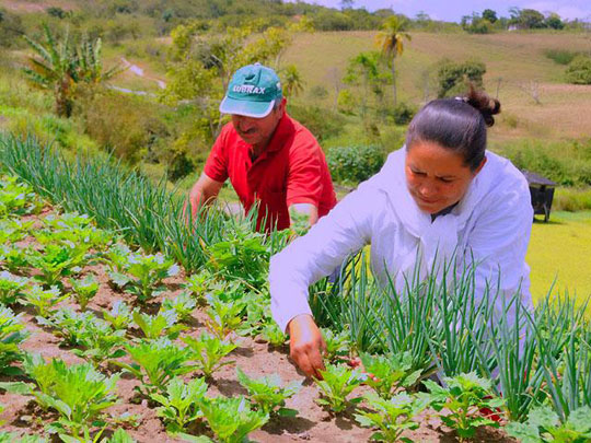 Assentados do Pronaf podem renegociar dívidas até 30 de dezembro 