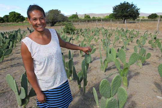 Agricultura é beneficiada pela assistência técnica e extensão rural em Riacho de Santana
