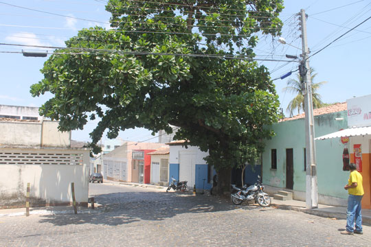 Brumado: Moradores solicitam da prefeitura retirada de amendoeira cinquentenária