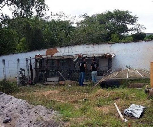 Ong denuncia desaparecimento de animais recolhidos pela prefeitura em Rio de Contas