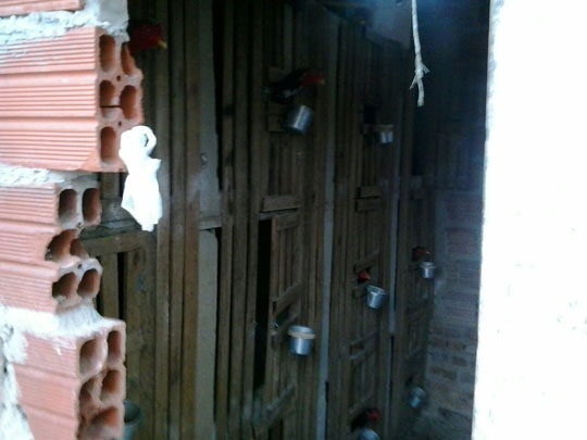 Polícia fecha rinha de galo em Brumado