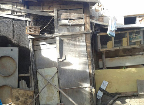 Ibicoara: Homem é preso em flagrante e tem bar fechado