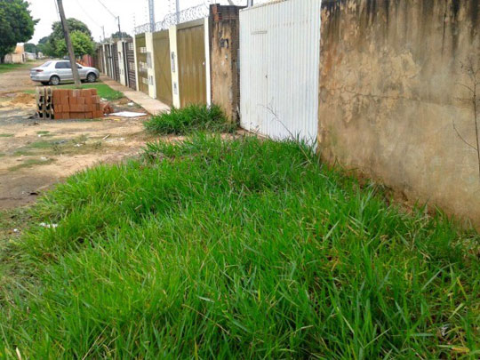 Bebê é achada em carrinho sob chuva na rua com mãe embriagada dormindo
