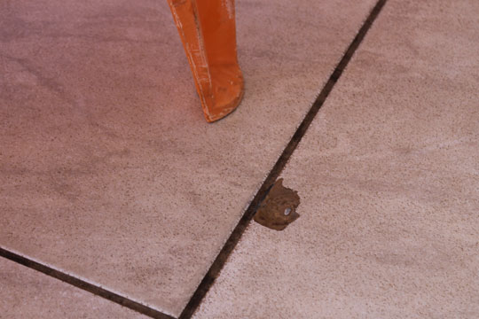 Brumado: Bandido rouba clientes e efetua disparo de arma de fogo em bar