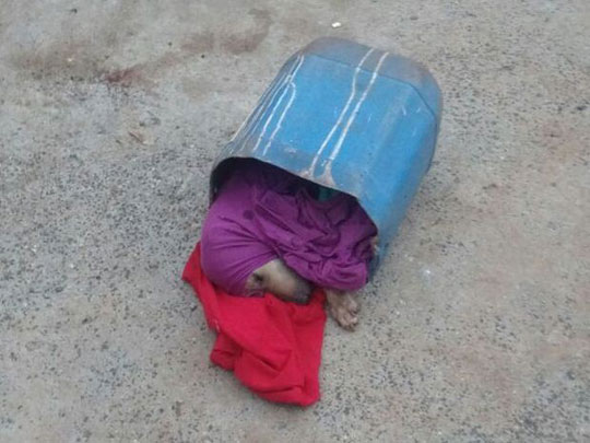 Cão quase é enterrado vivo após ser espancado pelo dono