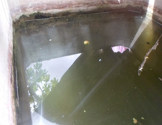 Criança de um ano morre afogada em tanque na zona rural de Candiba