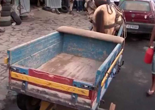 Prefeitura exige emplacamento e habilitação para carroceiros em Vitória da Conquista