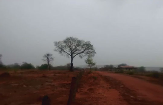 Após cerca de oito meses, chove na região oeste