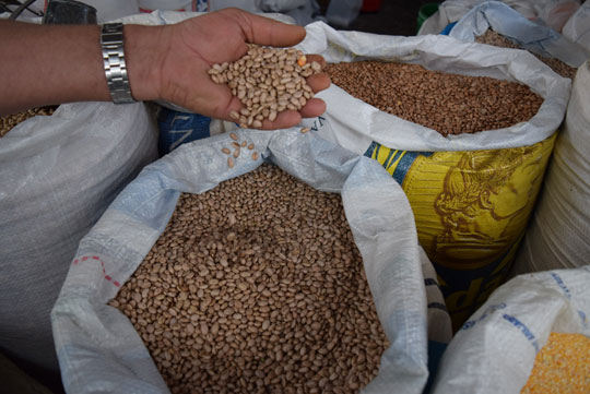 Preço do feijão oscila em Brumado e grão se torna o vilão da cesta básica