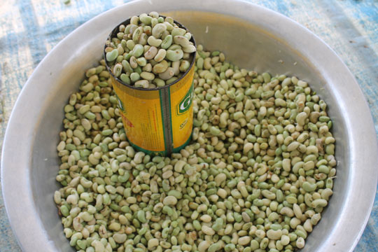 Lavoura apresenta baixa produção em Brumado; sem chuva, previsão é de dificuldades