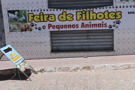 Polícia fecha feira clandestina de animais em Brumado