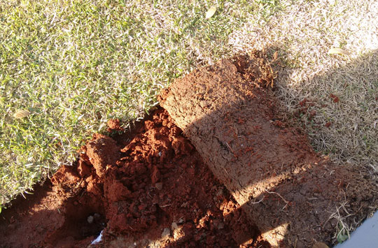 Brumado: Grama e mudas de árvore foram roubadas da Praça do Jurema antes da inauguração