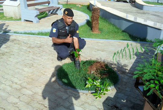 Brumado: Guardas municipais promovem plantio de árvores em praças públicas