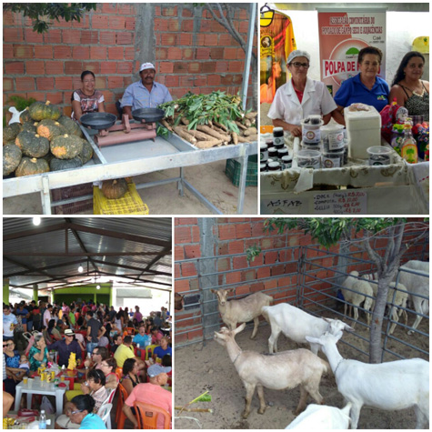 Malhada de Pedras: Feira da Agricultura Familiar supera expectativas