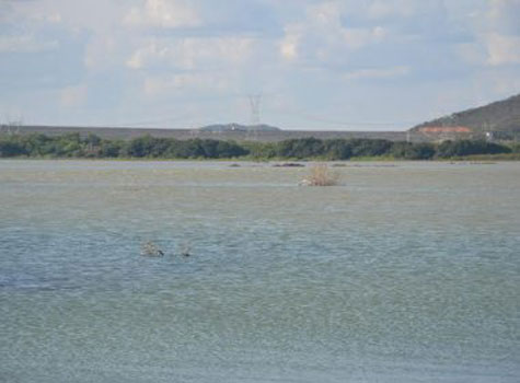 Nascente do Rio São Francisco secou, diz diretor de parque