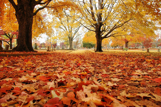 Outono começa e vai até dia 21 de junho