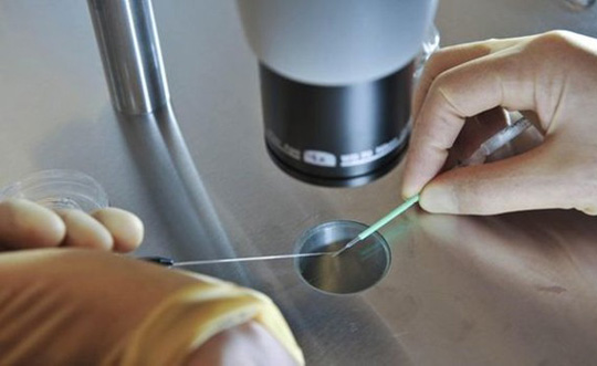 Mulher de 60 anos luta na Justiça para usar óvulos de filha morta e gerar o neto