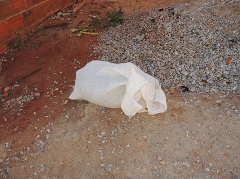 Brumado: Pitbull vira despacho de macumba