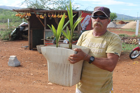 Brumadense lucra ao transformar lixo eletrônico em caqueiros para plantas