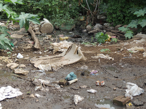 Brumado: Sem saneamento básico, moradores da Otávio Peres convivem com fezes e cobras