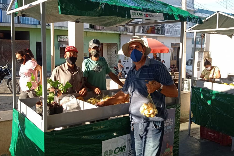 Feira da Agricultura Familiar marca novo momento para economia rural em Malhada de Pedras