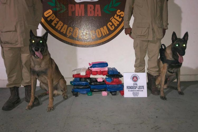 Quase 50 Kg de cocaína são achados em tanque de combustível com ajuda de cães em Feira de Santana