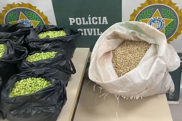 Rio de Janeiro: Homem é preso por tingir feijão de verde para vender mais caro