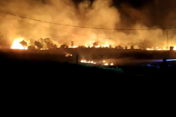Incêndio atinge área de vegetação com 20 mil metros quadrados em Guanambi