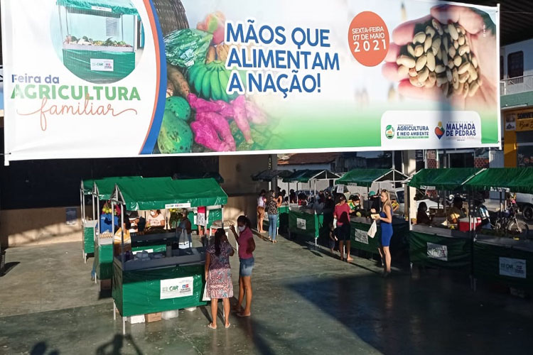 Feira da Agricultura Familiar marca novo momento para economia rural em Malhada de Pedras