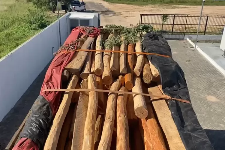 Homens são presos por transporte ilegal de madeira nativa que seria entregue em Caetité