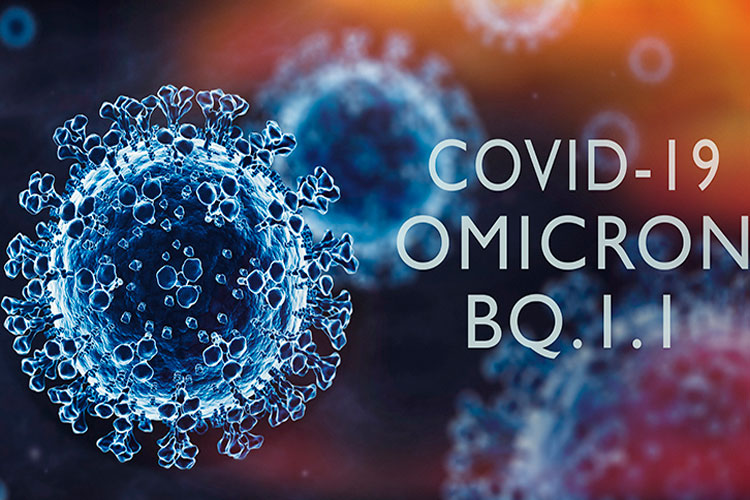 Covid-19: Bahia registra casos da subvariante BQ.1, diz Sesab