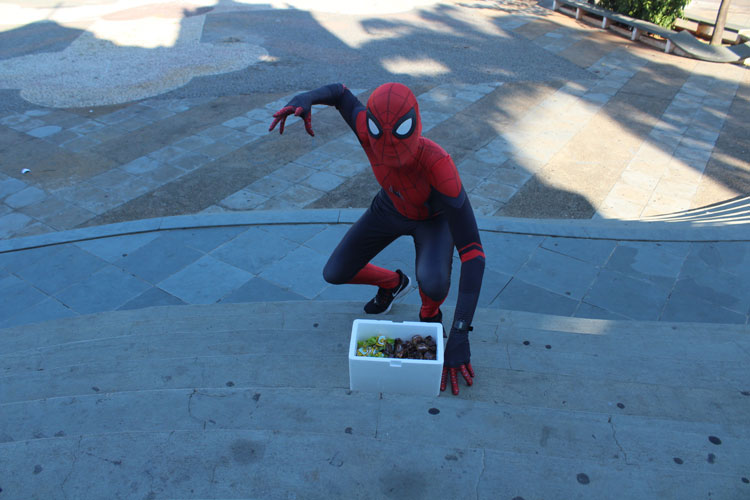 Driblando a crise, jovem se veste de Homem Aranha e vende trufas nas ruas de Brumado para pagar faculdade