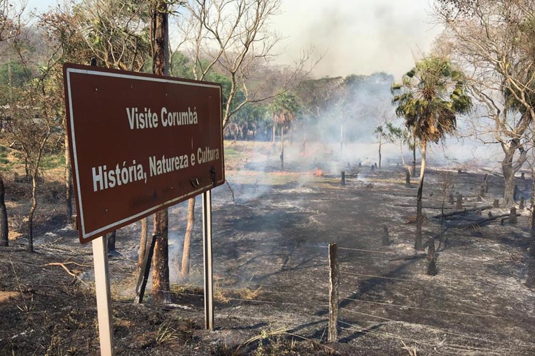 Mato Grosso do Sul entra em emergência por queimadas no Pantanal