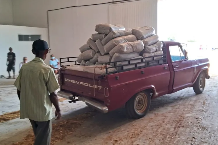 Seca em Guanambi: Prefeitura já entregou silagem para o gado a 359 agricultores familiares