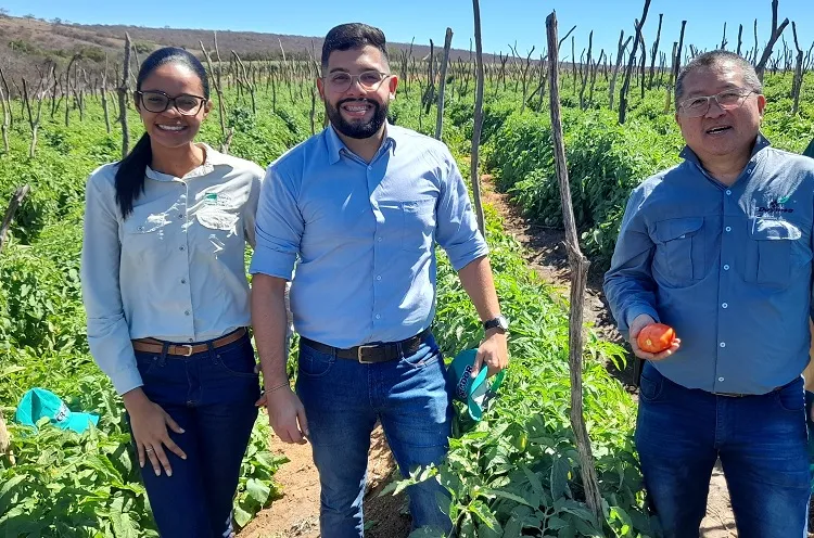 Agrônomos atestam eficiência dos produtos do Armazém do Criador em Brumado