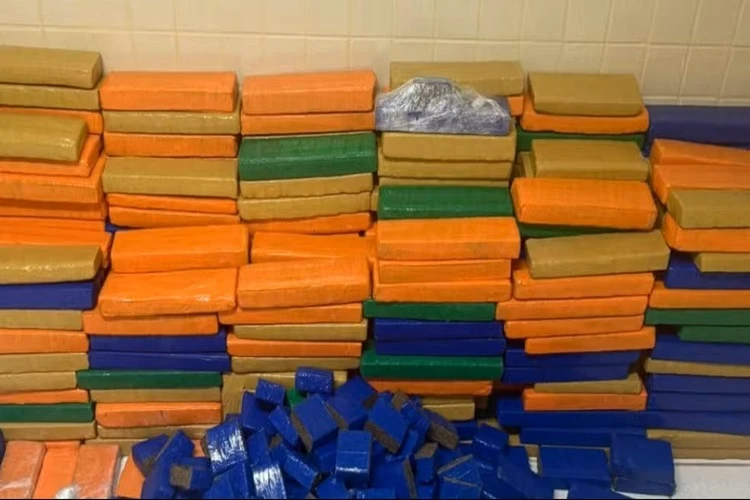 Quase uma tonelada de maconha é apreendida em Simões Filho