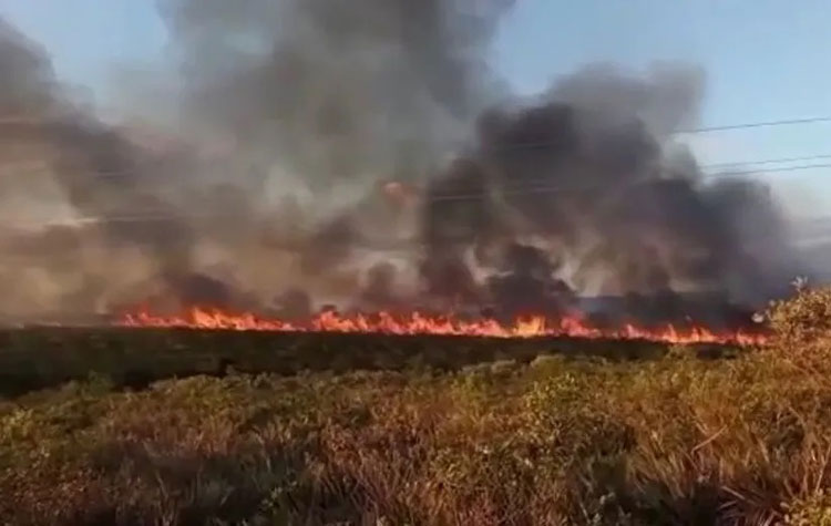 Serra Geral do Espinhaço, entre Pindaí e Licínio de Almeida, é atingida por incêndio